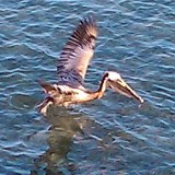 Why Ethics? |&nbsp;LifeEthics.org